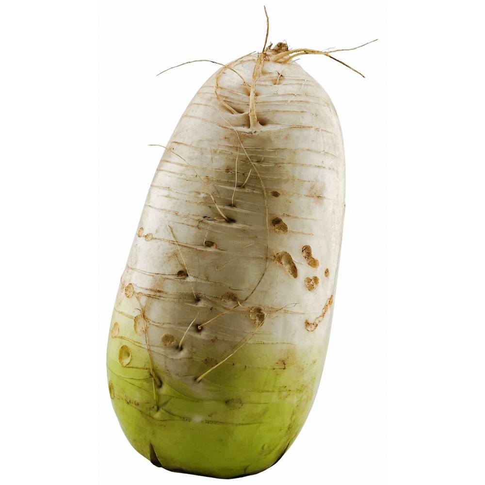 Korean radish