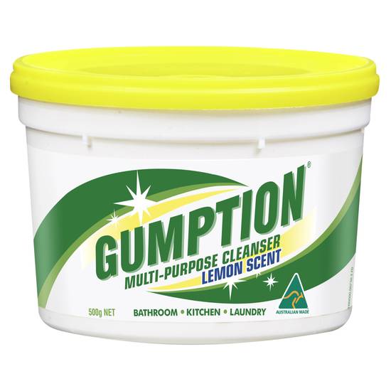 Gumption Paste All Purpose Cleaner 500g