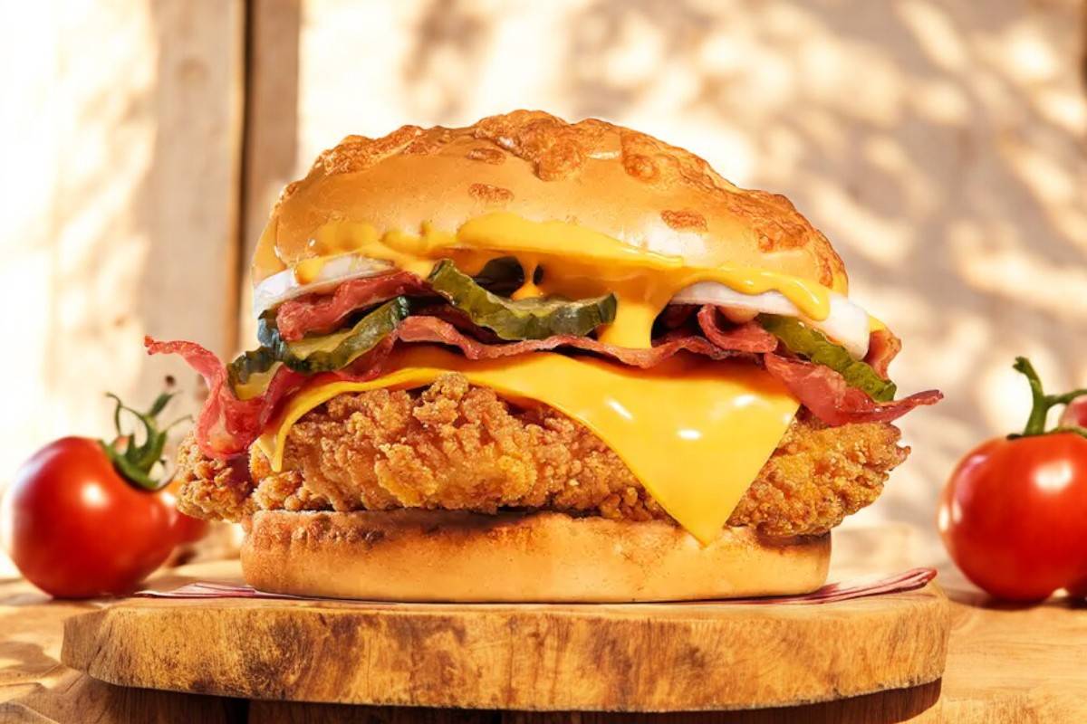 🍔🍔 Chicken Burger 🍗🧀