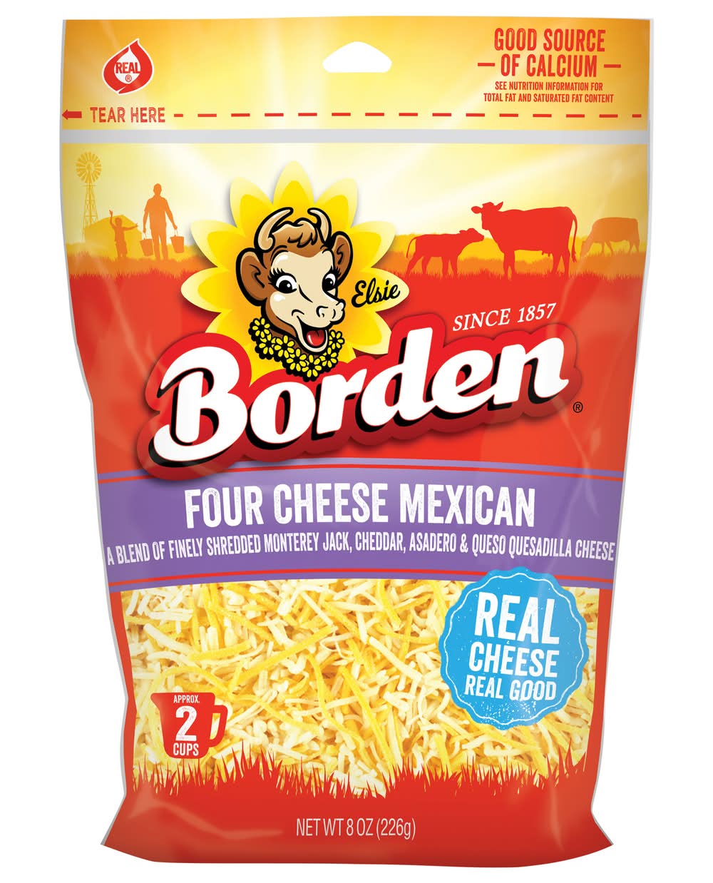 Borden Four Cheese Mexican (8 oz)