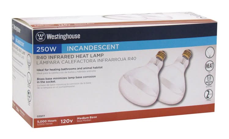 Westinghouse 250 W R40 Heat Lamp Incandescent Light Bulb Medium Base Clear 2 Pk
