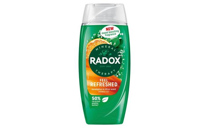 Radox Shower Gel Feel Refreshed 225ml (405259)