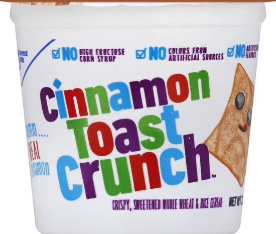 General Mills Cinnamon Toast Crunch Whole Wheat & Rice Cereal Tub (cinnamon)