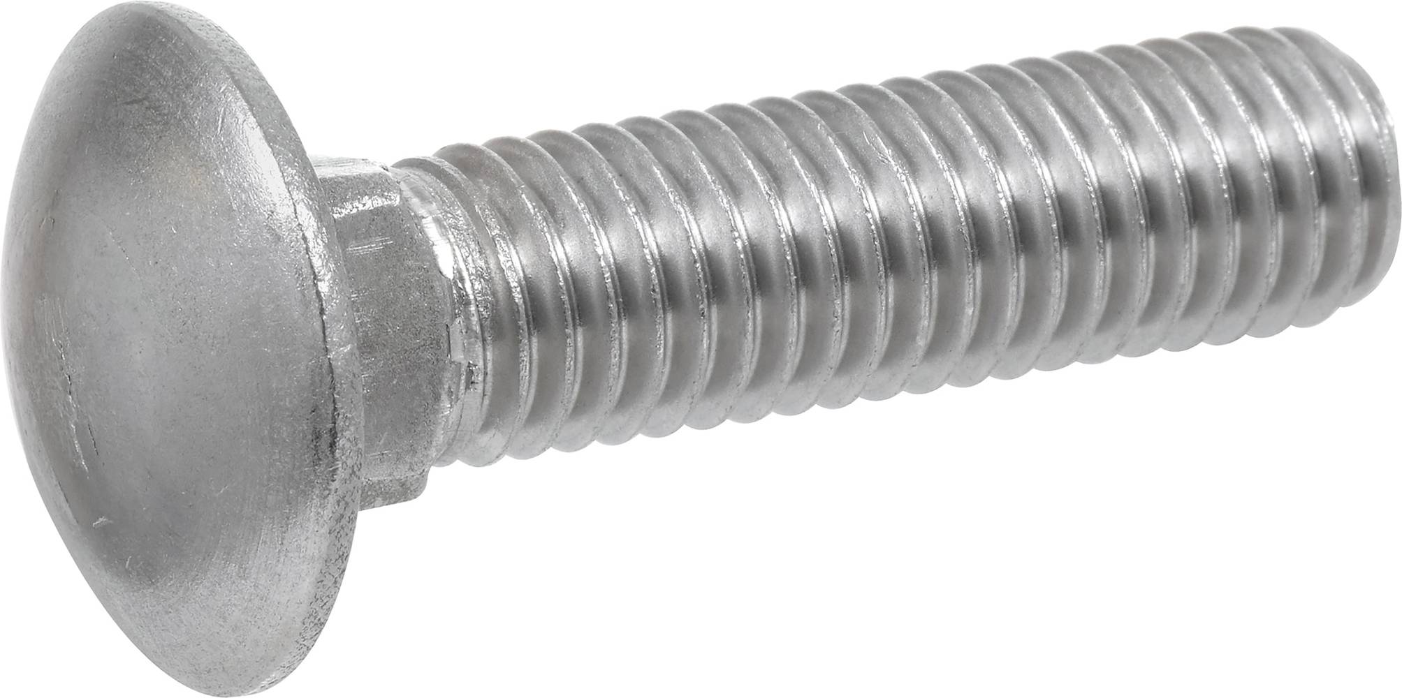 Hillman 1/4-in x 2-in Stainless Coarse Thread Interior/Exterior Carriage Bolt | 832403