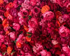 Clarence Walker for Flowers (Portland)