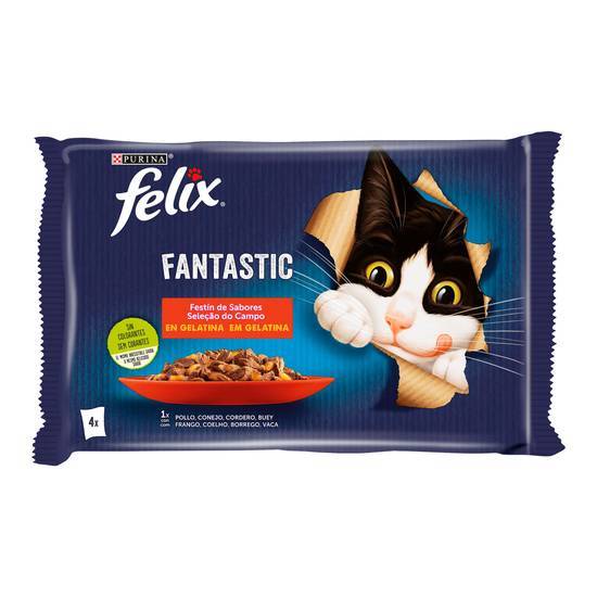 FELIX alimento para gatos fantastic sabor carne bolsa 4 pack x 85 gr