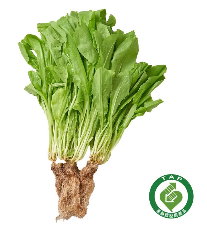 履歷水耕A菜(每袋約250g±10%) <1Bag袋 x 1 x 1Bag袋>