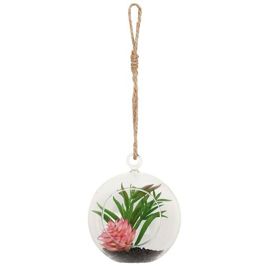 12" Succulent In Hanging Glass Terrarium By Ashland