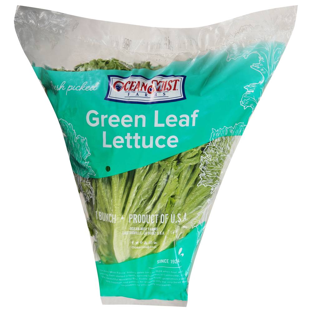 Ocean Mist Farms Green Leaf Lettuce