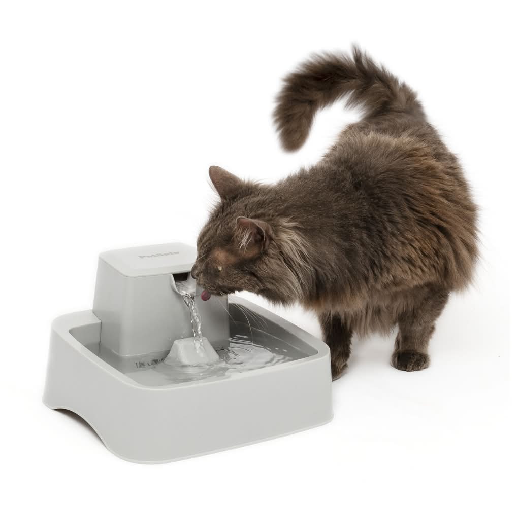 PetSafe Drinkwell Pet Fountain, Grey (12 oz)