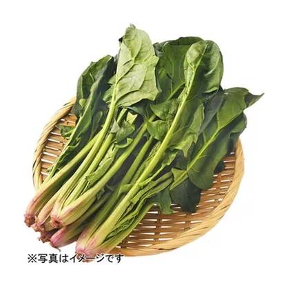 ほうれん草 1袋