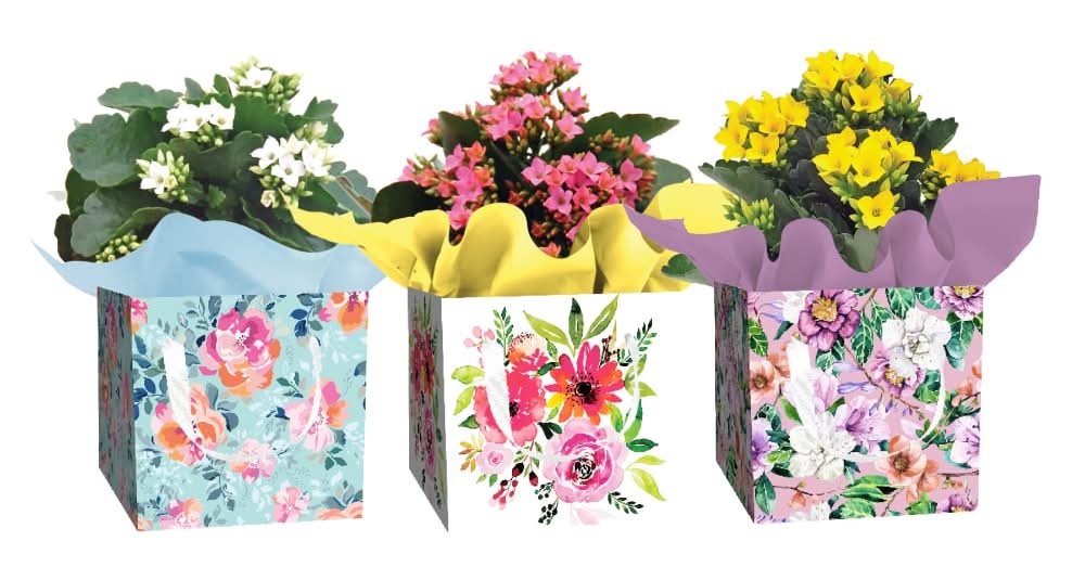 Assorted Blooming Floral In Seasonal Gift Box