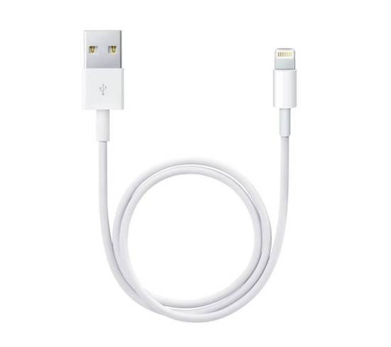 Apple Câble Lightning 0.50M