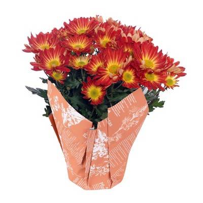 Spritz Potted Pelee Mum Plant In Orange Wrap