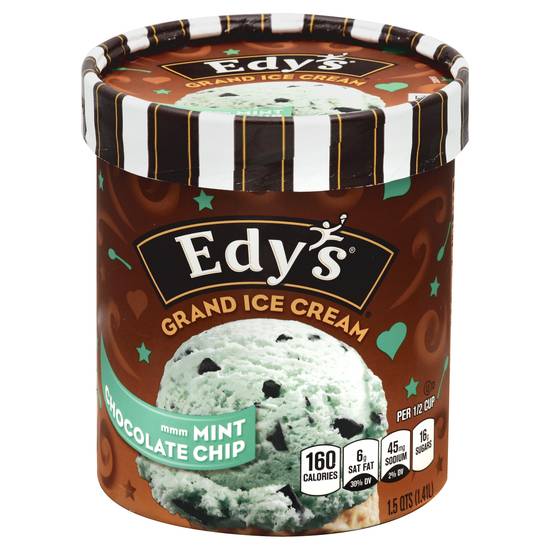 Edy's Mint Chocolate Chip Ice Cream