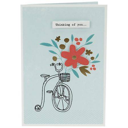 Hallmark Encouragement Card (Positive Thoughts and Feel-Good Wishes) E24 - 1.0 ea