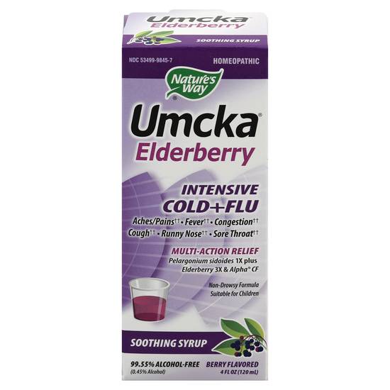 Nature's Way Umcka Intensive Cold + Flu Soothing Syrup (elder berry)
