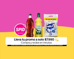 ⚡️SPID Express (Los Leones)