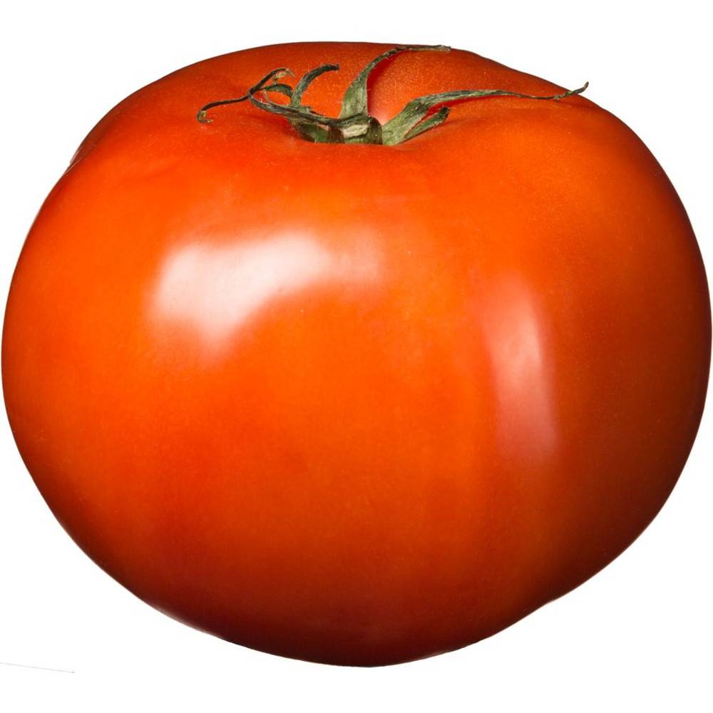 Beefsteak Red Tomatoe