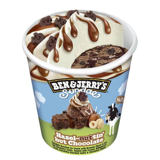 Ben & Jerry's Hazel-nuttin' but Chocolate Sundae Ice Cream 427ml
