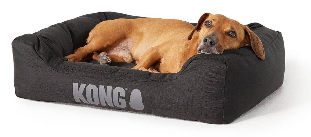 KONG Sided Cuddler Dog Bed, 28x22x7 in, Black