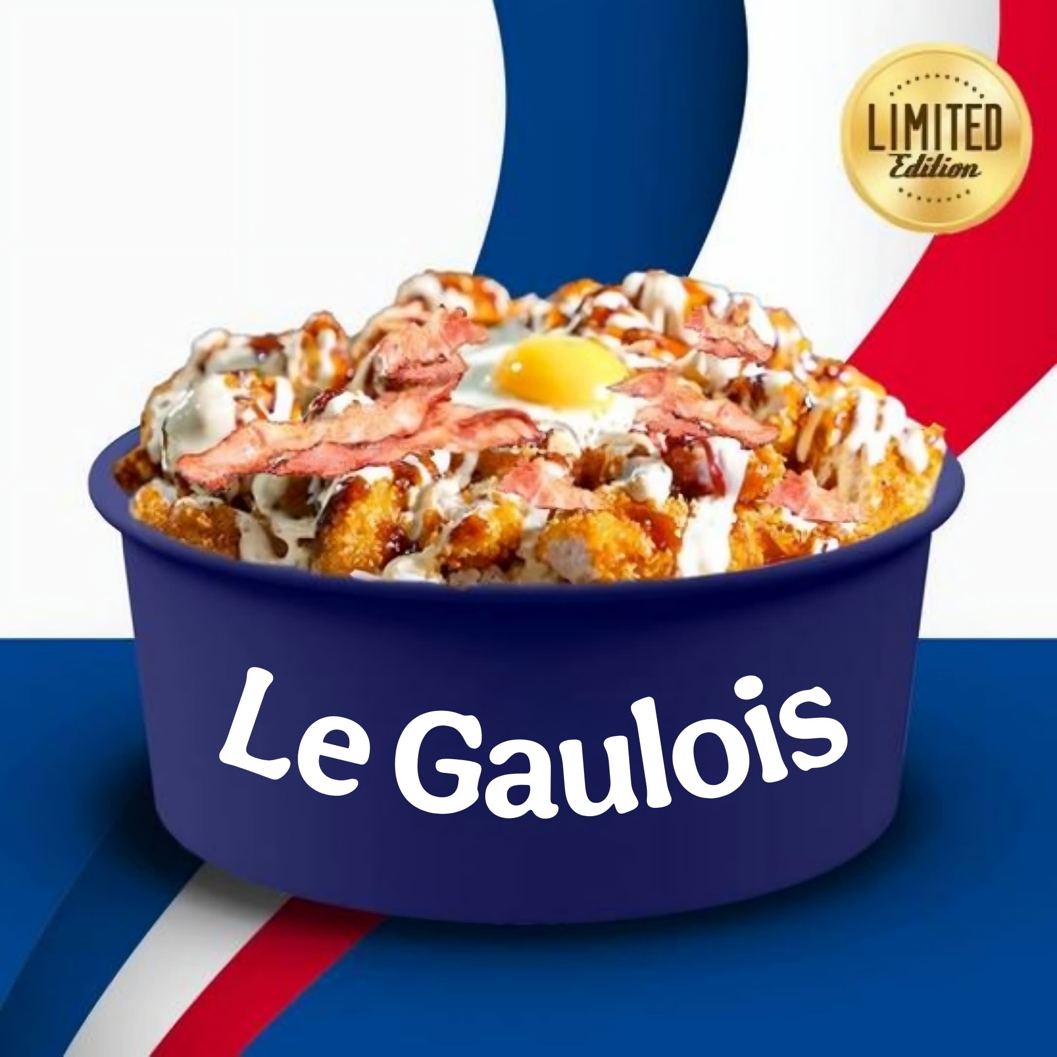 Le Gaulois 🇫🇷
