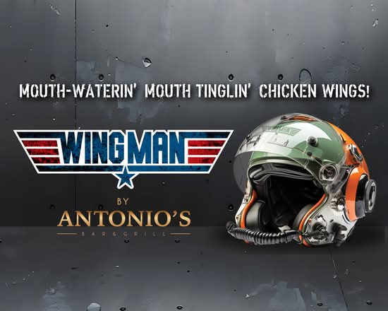 WingMan Gourmet Chicken Wing's