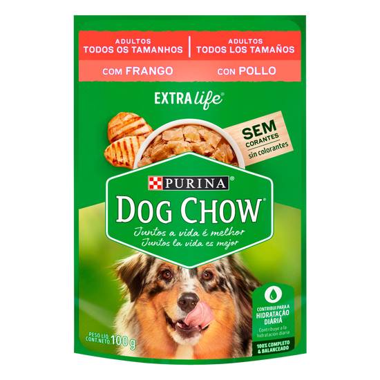 Purina ração úmida sabor frango dog chow extra life para cães adultos