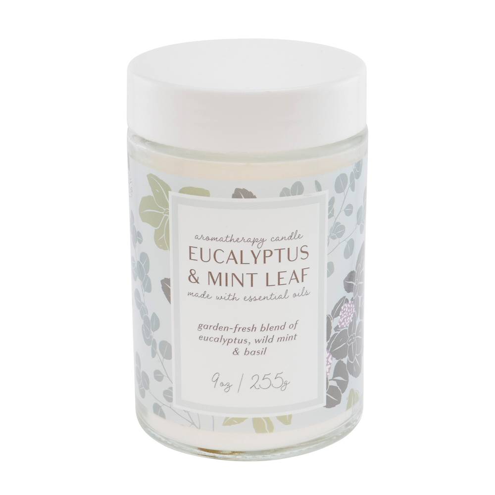 Northern Lights Candles Aromatherapy Candle (eucalyptus-mint)