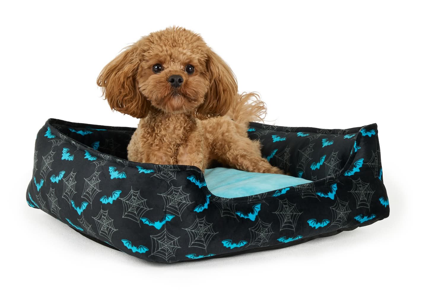 Thrills & Chills® Halloween Bats Cuddler Dog Bed, ONESIZE 18 IN L X 20 IN W (Color: Multi Color)