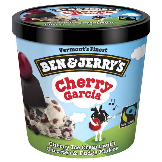 Ben & Jerry's Cherry Garcia Ice Cream Mini (4 fl oz)