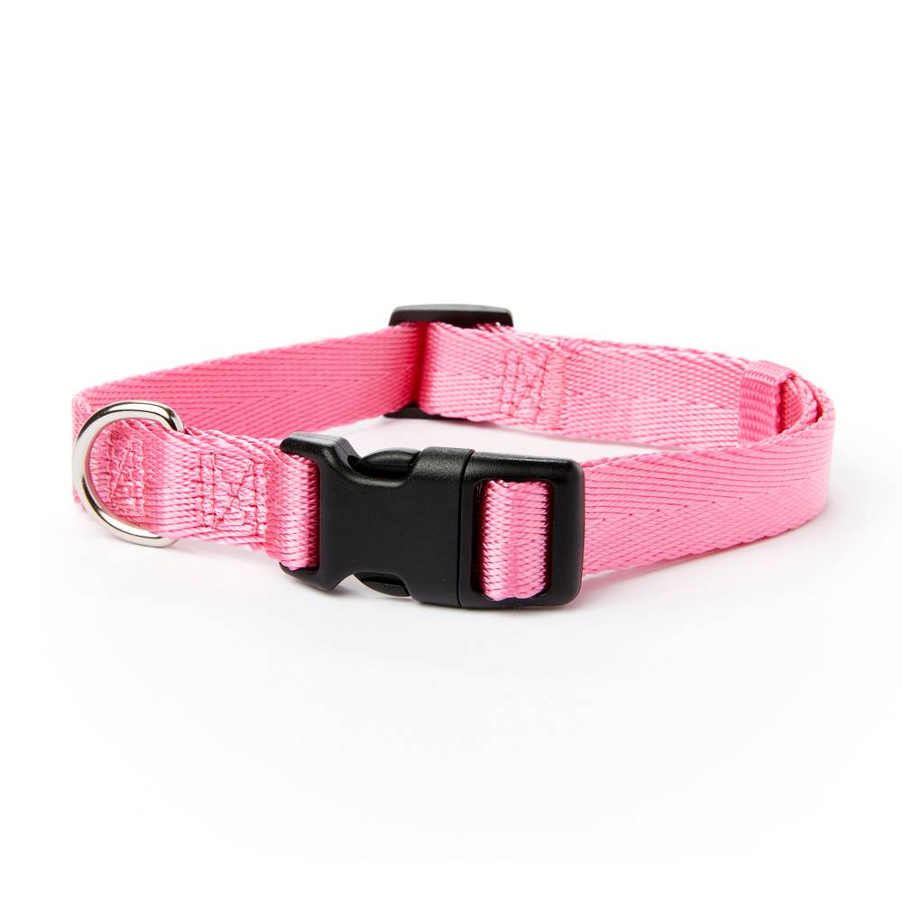 Youly Multiple Colors/Finishes Dog Collar, Medium | 3287043