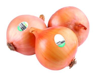 Yellow Onion