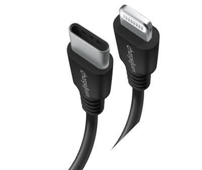 Black 18W Lightning to Usb-C Cable, (3')