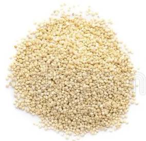 White Quinoa- 10lb (1 Unit per Case)