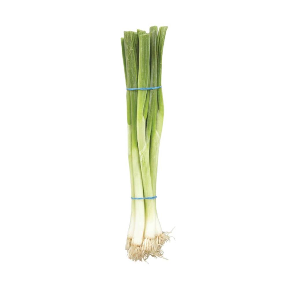 Organic Green Onions