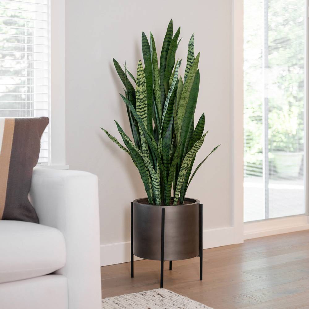 53” Faux Snake Plant with Stand