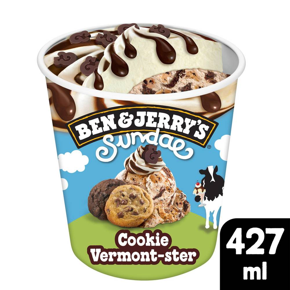 SAVE £2.00 Ben & Jerry's Cookie Vermont-ster Sundae Chocolate Chip Ice Cream Tub 427ml