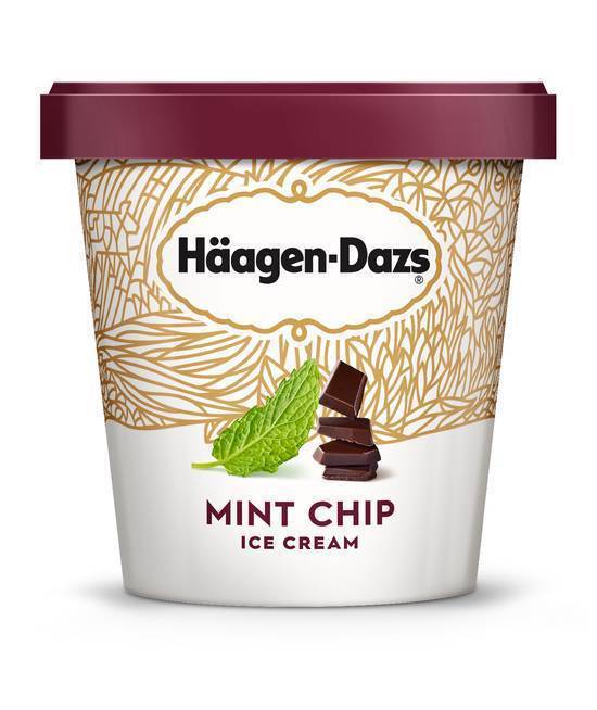 Mint Chip Ice Cream  14 oz