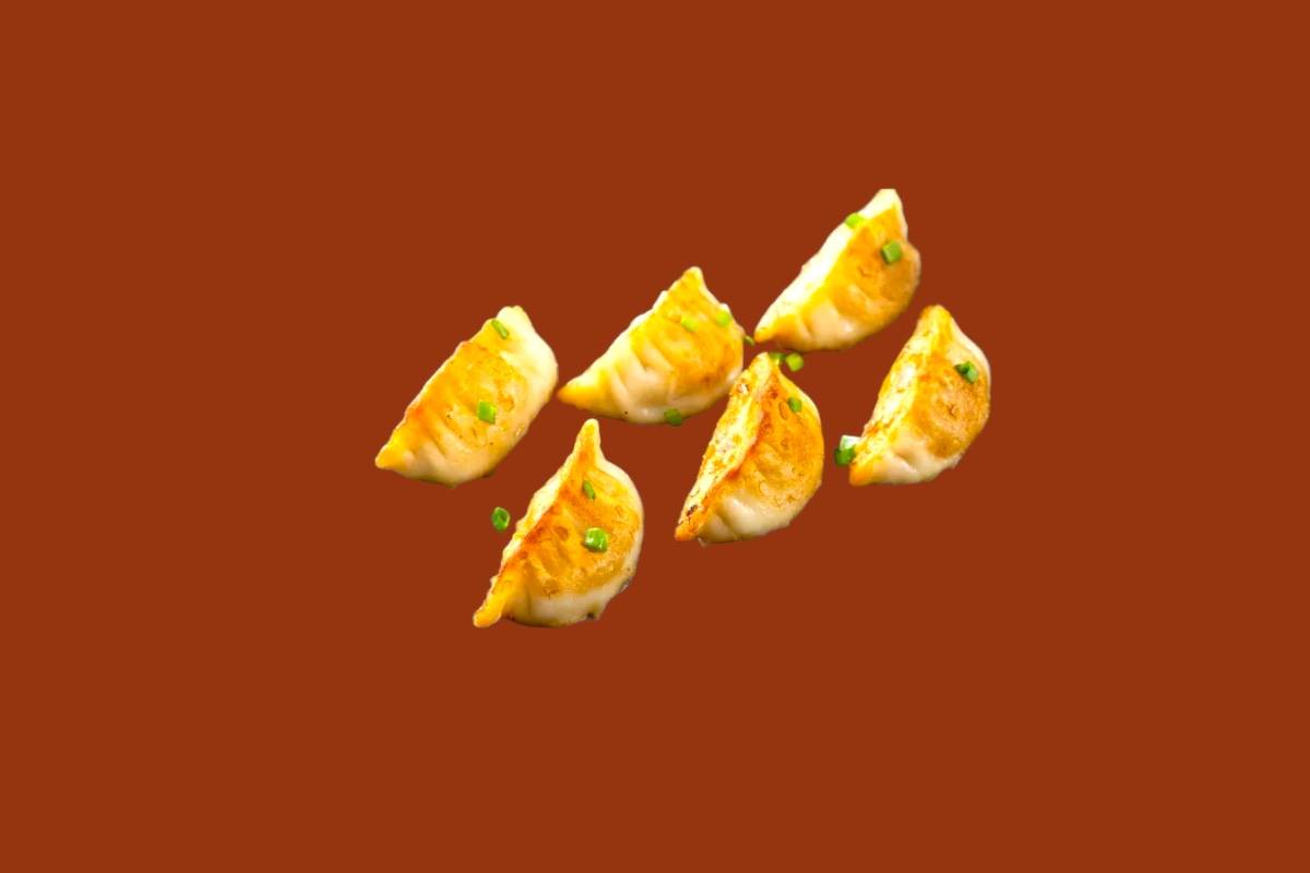 Gyozas au Poulet
