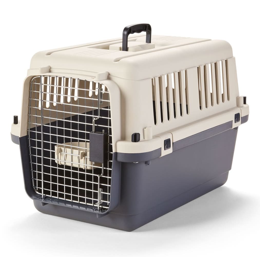 Essentials Plastic Carrier, 19 in