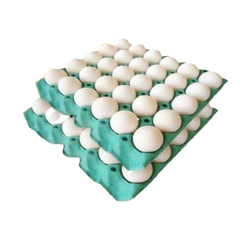 Campo Verde ovo branco grande (60 ovos)