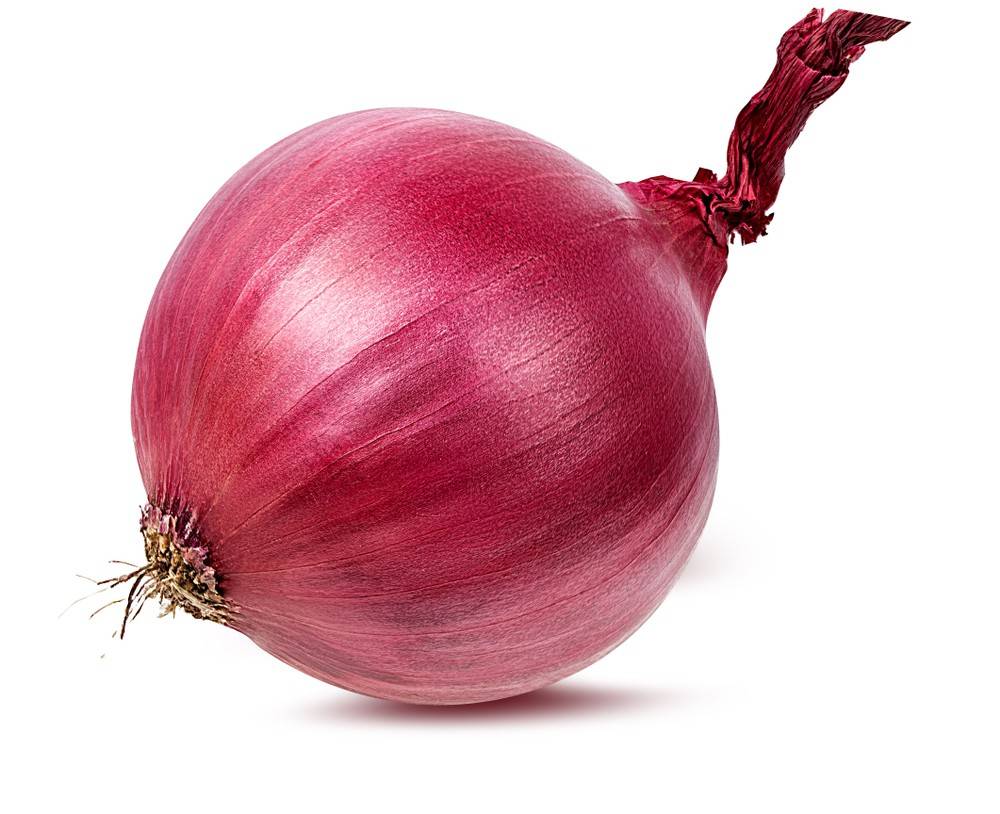 Jumbo Red Onion (1 onion)