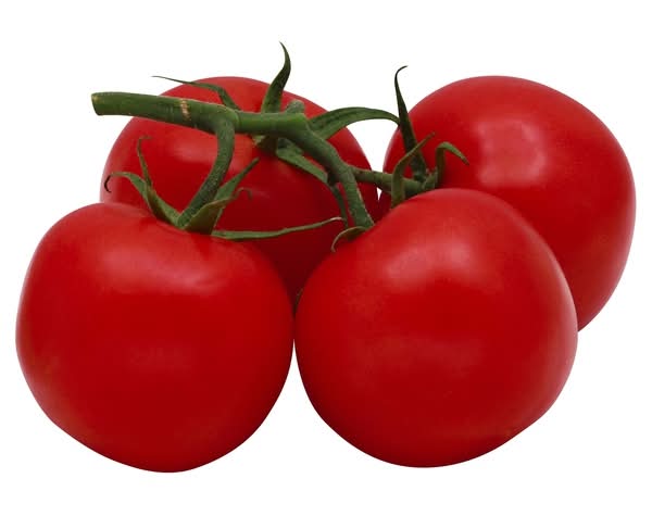 Tomato