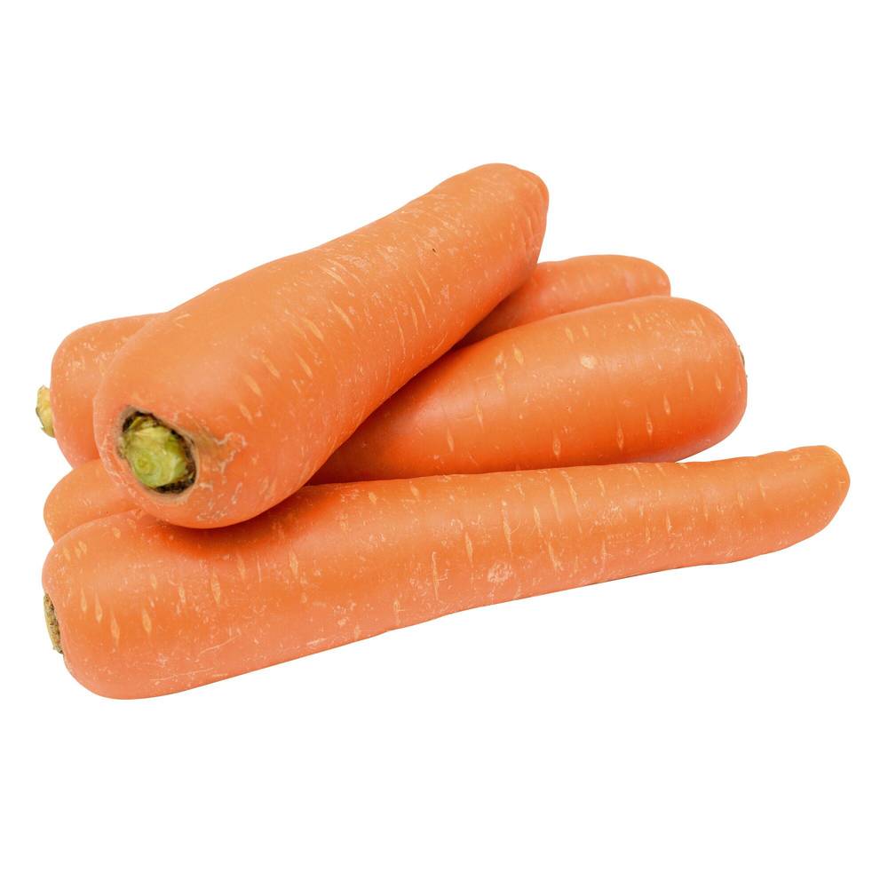 Carottes 4.54 Kg / 10 Lb Sac