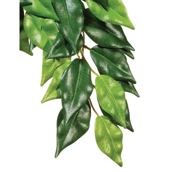 Exo Terra® Reptile Terrarium Forest Silk Ficus Plant Replica (Size: Small)