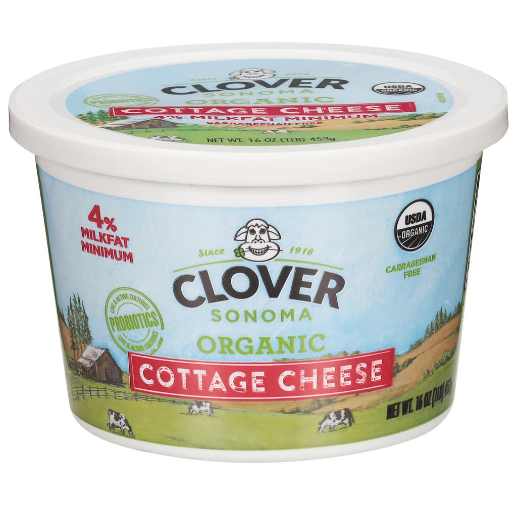 Clover Sonoma Organic Cottage Cheese (16 oz)