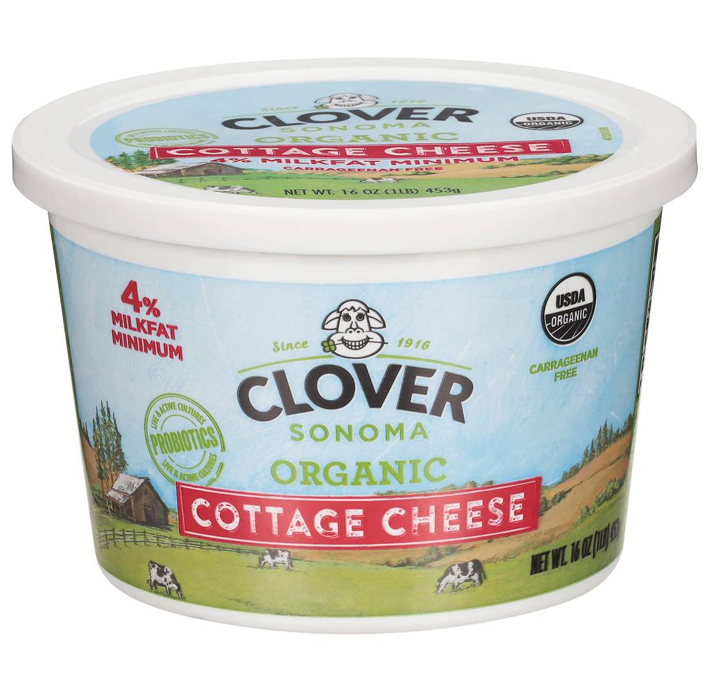Clover Sonoma Organic Cottage Cheese (16 oz)