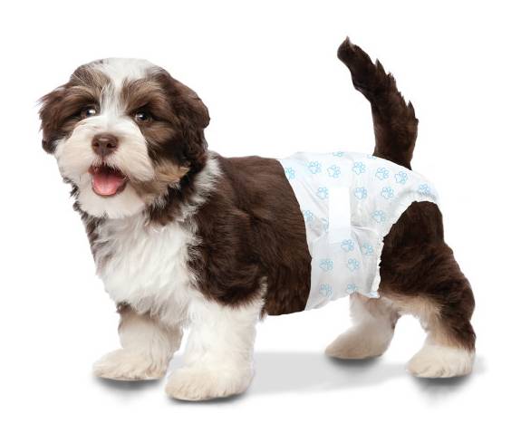 Wee-Wee Disposable Doggie Diapers, X-Small (12 ct)