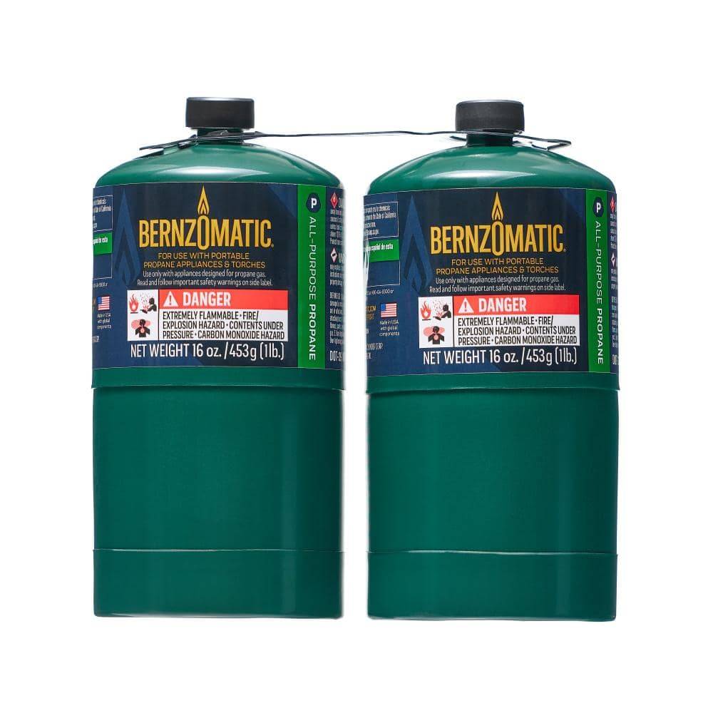 Bernzomatic All-Purpose Propane Gas Cylinder (2 ct)